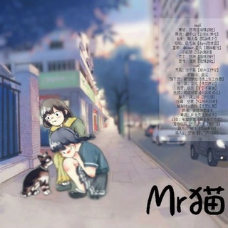Mr 猫